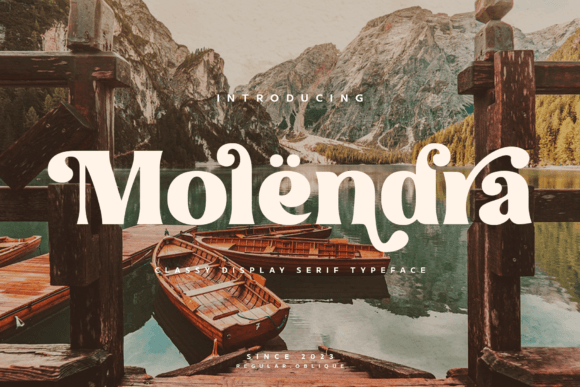 Elevating Your Brand Identity with the Molendra Display Serif